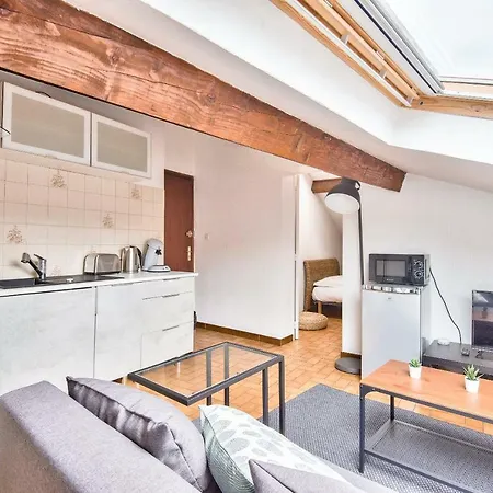 Lovely Cocoon Under The Roofs *compans-caffarelli* * Toulouse