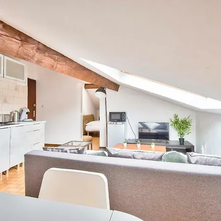 Apartment Lovely Cocoon Under The Roofs *compans-caffarelli* Toulouse
