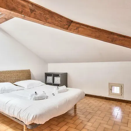 Lovely Cocoon Under The Roofs *compans-caffarelli* * Toulouse